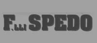 spedo-1.jpg