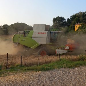 CLAAS TUCANO 430 (4)